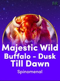 Majestic Wild Buffalo   Dusk Till Dawn