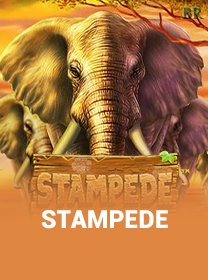 Stampede